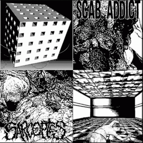 Sarcoptes (USA-1) : Scab Addict - Sarcoptes